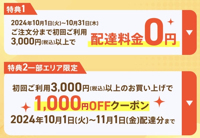 イトーヨーカドーネットスーパー初回クーポン【24年10月〜】