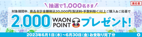 2000WAONポイントプレゼントキャンペーン【6/30まで】