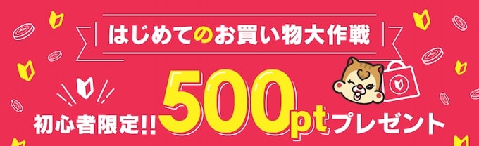 ポイントインカムはじめてのお買い物大作戦