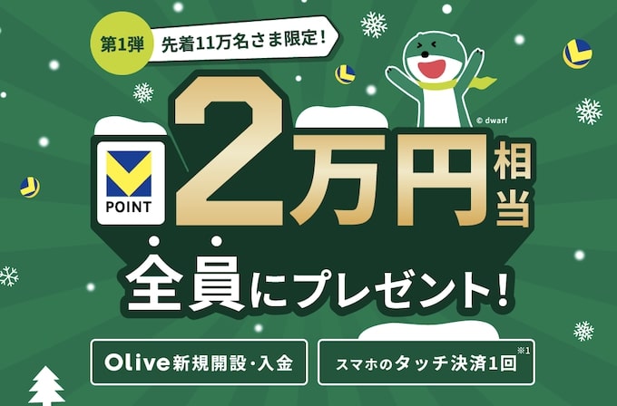 Vポイント最大20,000円相当プレゼントキャンペーン【25_2_28まで】