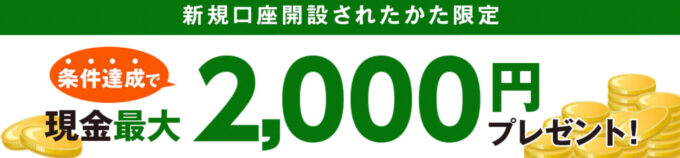 楽天銀行新規口座開設者向け2000円もらえるキャンペーン (1)