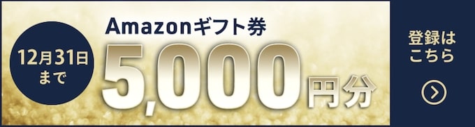 ネイティブキャンプAmazonギフト券プレゼントキャンペーン【24年12月31日まで】