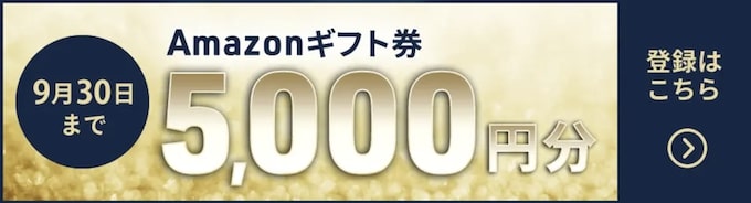 ネイティブキャンプAmazonギフト券プレゼントキャンペーン【24年9月30日まで】