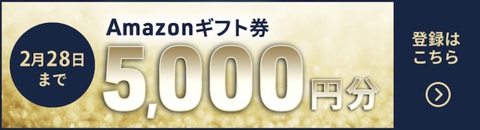 ネイティブキャンプAmazonギフト券プレゼントキャンペーン【25年2月28日まで】