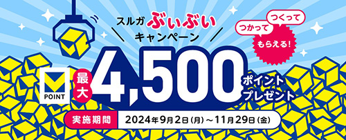 スルガ銀行｜最大4,500Vポイントがもらえるスルガぶいぶいキャンペーン【24/11/29まで】