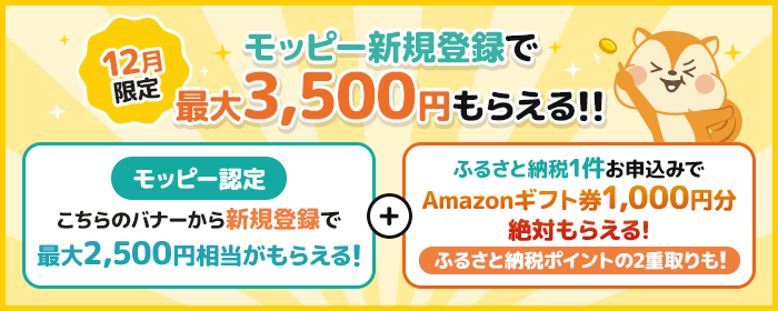 モッピー12月訴求